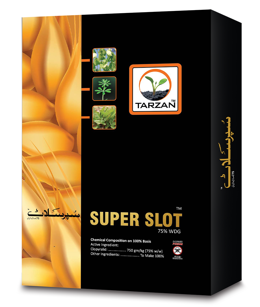 Super Slot