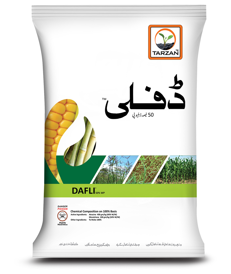 Dafli