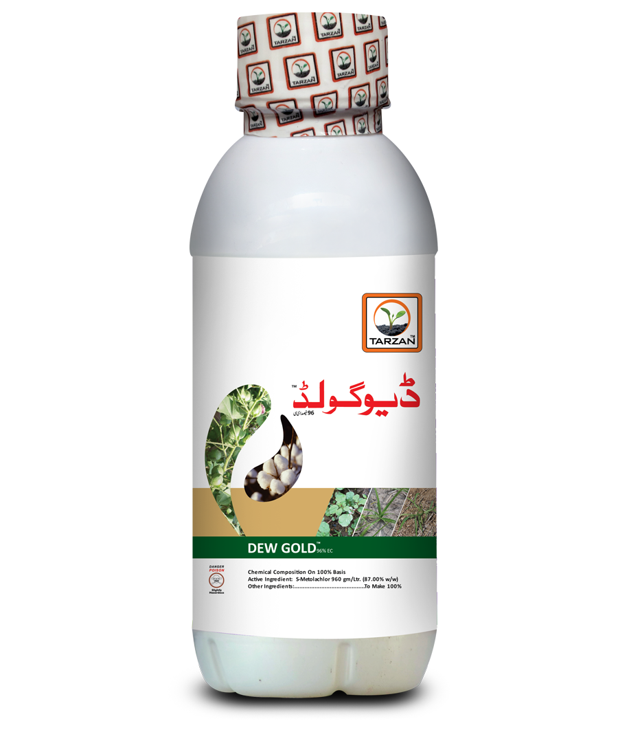 Dew Gold